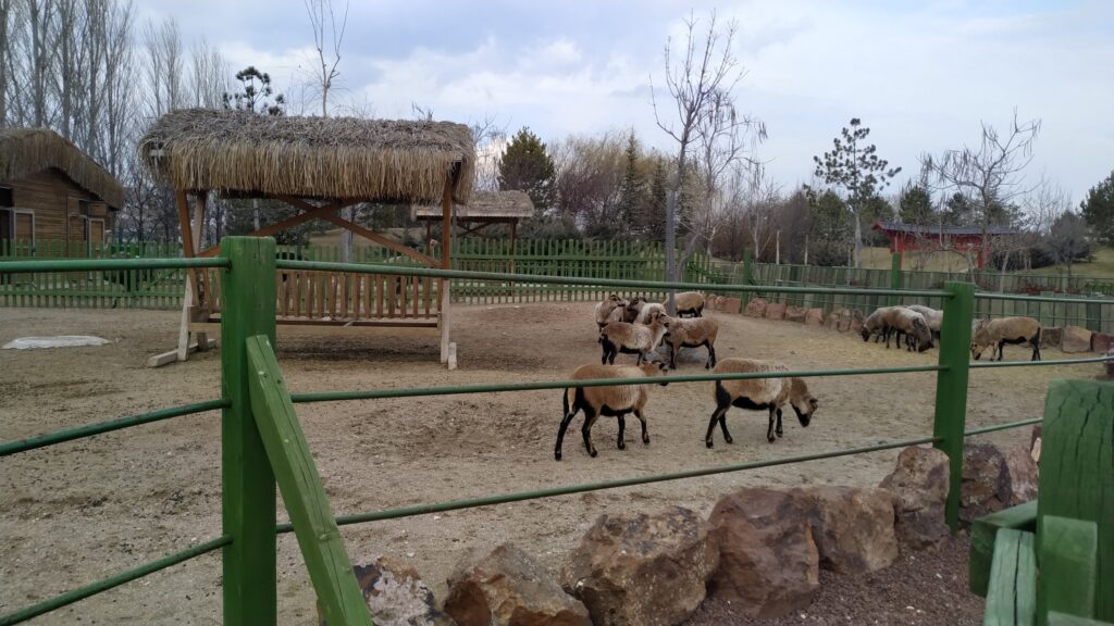 eskişehir sazova hayvanat bahçesi